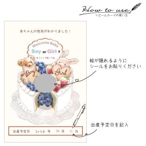 ジェンダーリビールカード セット販売あり くま...の詳細画像4