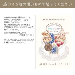 ジェンダーリビールカード セット販売あり くま...の詳細画像5