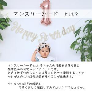 マンスリーカード 16枚セット マンスリーフォ...の詳細画像2