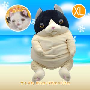 もちねこ】ハチワレ・オレンジ miniサイズ ぬいぐるみ 〈メール便(日本