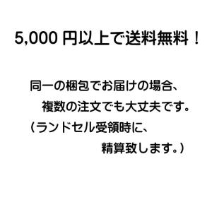 ランドセルをリメイク 名入れ(8文字)(ストラ...の詳細画像1