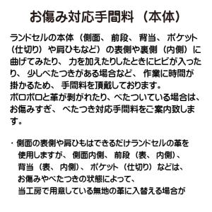 お傷み対応手間料(本体)の詳細画像1