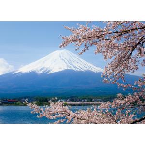 お風呂ポスター　満開の桜と富士山　防水ポスター　おふろポスター　銭湯気分
