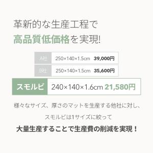 抗菌 もちふわ プレイマット 赤ちゃん シンプ...の詳細画像1