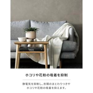 ランドリン 柔軟剤 サクラチェリーブロッサム ...の詳細画像4