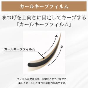 フェニックスアイ カールアップ コーティング ...の詳細画像2