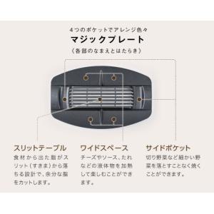 Aladdin アラジン グラファイト グリラ...の詳細画像4