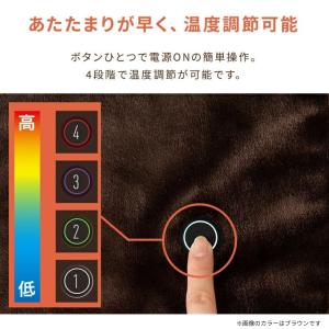 アイリスオーヤマ ヒートブランケット ボーダー...の詳細画像4