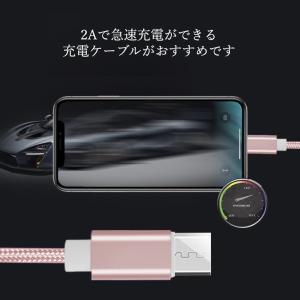 iPhone 充電ケーブル タイプC ライトニ...の詳細画像2