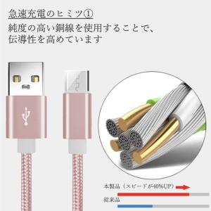 iPhone 充電ケーブル タイプC ライトニ...の詳細画像3