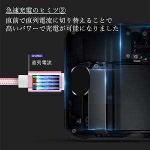 iPhone 充電ケーブル タイプC ライトニ...の詳細画像4