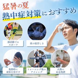 氷嚢 スポーツ 熱中症対策グッズ アイシング ...の詳細画像1