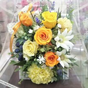 iittala イッタラ アルヴァアアルト フラワーベース 120mm 12cm