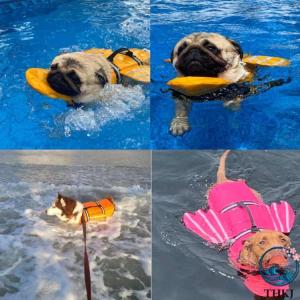 犬用ライフジャケット ペットライフジャケット ...の詳細画像2