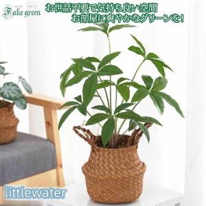 イケア（IKEA） FEJKA/フェイカ 人工観葉植物68 cm アレカヤシ(805.084
