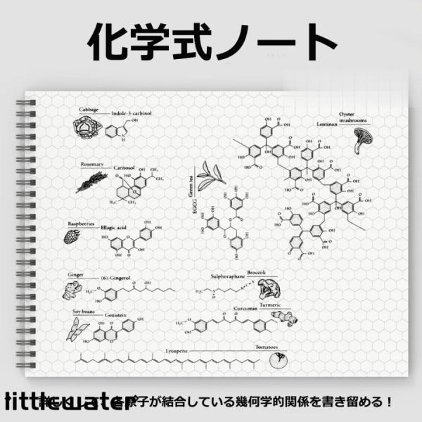 化学式ノート 構造式ノート 図式ノート 化学 分子構造ノート A4 50枚入り
