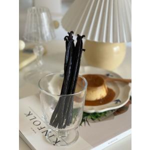【WEB通常品】バニラビーンズ タヒチ種 イン...の詳細画像3