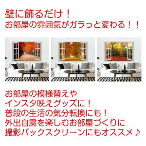 タペストリー もみじ 紅葉 コスモス イチョウ...の詳細画像1