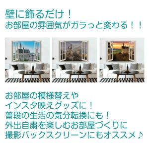 ノイシュバンシュタイン城 タペストリー 世界 ...の詳細画像1