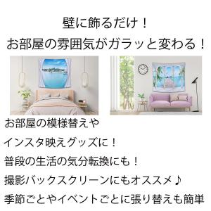 タペストリー 海 リゾート 窓 風景 大判 大...の詳細画像1