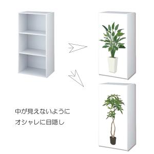 カラーボックス 棚 ラック 観葉植物 ボタニカ...の詳細画像1
