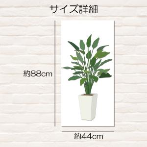 カラーボックス 棚 ラック 観葉植物 ボタニカ...の詳細画像3