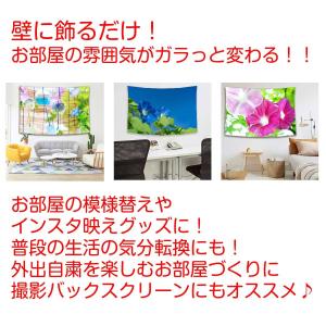 タペストリー アサガオ あさがお 風鈴 花 夏...の詳細画像1