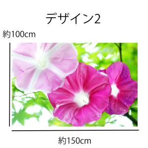 タペストリー アサガオ あさがお 風鈴 花 夏...の詳細画像4