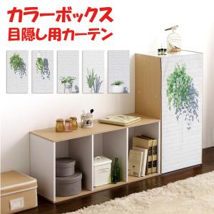 ミニカーテン カラーボックス 棚 ラック スワッグ ドライフラワー 白木