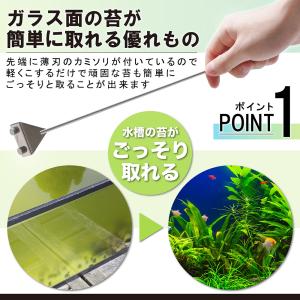 コケ取り スクレーパー プロレイザー 水槽 掃...の詳細画像4