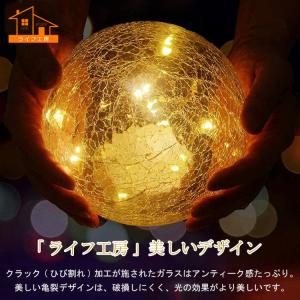【2個セット/10cm直径/3サイズ選べる/贅...の詳細画像3