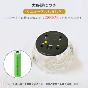 【2個セット/10cm直径/3サイズ選べる/贅...の詳細画像4