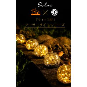 【6個セット/10cm直径/3サイズ選べる/贅...の詳細画像2