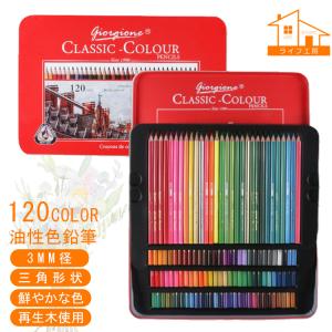 CARAN d'ACHE（カランダッシュ） パブロ色鉛筆 40色セット 日本正規品