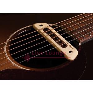 L.R.BAGGS M80 アコースティックギター用ピックアップ
