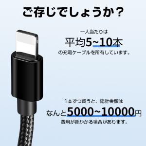10%OFF 3本セット iPhone 充電ケ...の詳細画像1