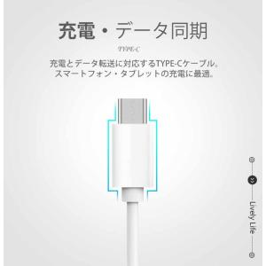 2本セット Type-C 充電ケーブル 短い ...の詳細画像2