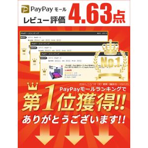 10%OFF iPad A16 ケース 第11...の詳細画像1