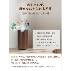 4380→3980更に8%OFF アロマディフ...の詳細画像3