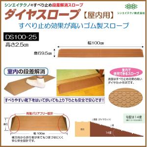 ダンスロープ ミニ Dun-Slope Mini 屋内・屋外兼用 段差3cm対応 R