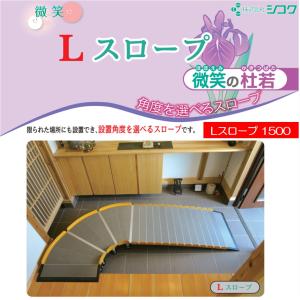 イーストアイ ESKスライドスロープ Rタイプ 3mタイプ／ESK300R