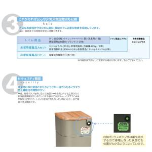 EV椅子 非常用備蓄品 トイレ用品セット 天然...の詳細画像3
