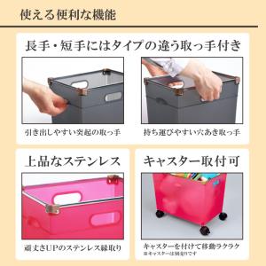インナーボックス カラーボックス 収納ケース ...の詳細画像3