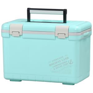 17L おしゃれ小型クーラーボックスの高価買取価格