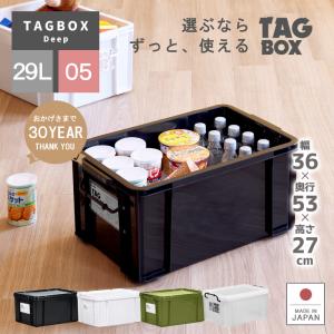 伸和（ 日用品、アウトドア用品） 衣装ケース 収納ケース 収納