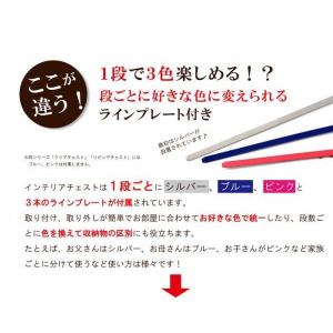 衣装ケース 収納ケース プラスチック 引き出し...の詳細画像2