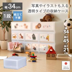 伸和（SHINWA） 10個セット 衣装ケース 収納ケース プラスチック 幅