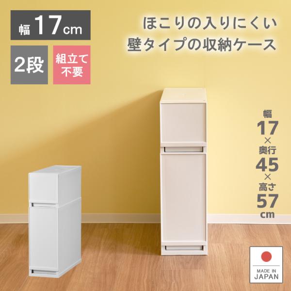 衣装ケース 収納ケース プラスチック 引き出し 2段 幅17cm 奥行45cm 高さ56.7cm 収...