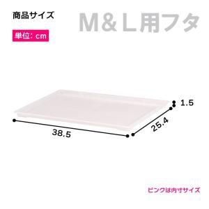 インナーボックス カラーボックス 収納ケース ...の詳細画像1
