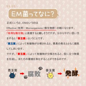 ゴミ箱 おしゃれ ダストボックス 生ごみ処理器...の詳細画像4